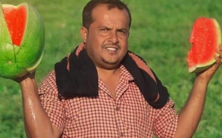 المنطقة الوسطى بأبين تحصد فاكهة "البطيخ" في فصل الشتاء