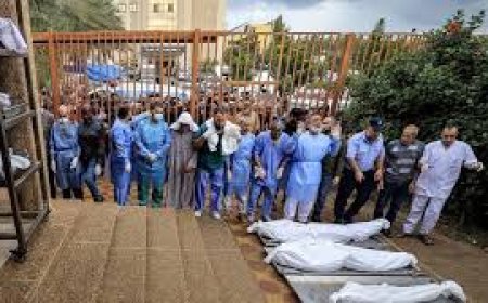 الصحة العالمية: مستشفى الشفاء أصبح شبيهاً بالمقبرة ( فيديو )