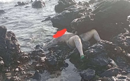 العثور على جثث لـ أشخاص بينهم أجانب بالقرب من جزيرة زقر