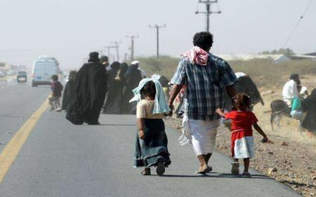 نزوح 29 أسرة يمنية خلال أسبوع 