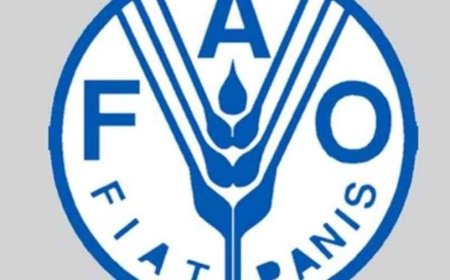 اطلاق مشروع بقيمة 16 مليون دولار في ثلاث محافظات يمنية