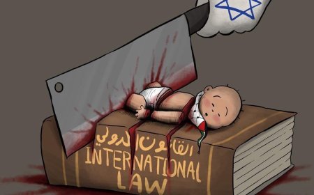 القانون الدولي والقضية الفلسطينية