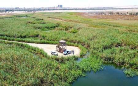 بدء مشروع ضخم في اليمن لاعادة تأهيل أراضي المحميات