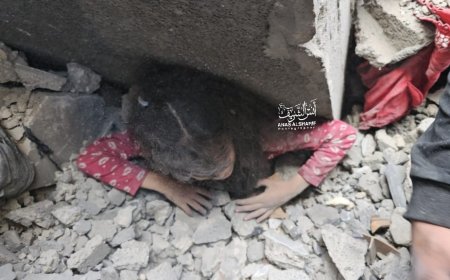 المكتب الحكومي بغزة: لم نعد قادرين على إحصاء الضحايا مع تزايدهم بالمئات يوميا  اقرأ المزيد عبر المركز الفلسطيني للإعلام