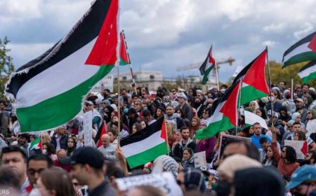 ما سر تصاعد تأييد الجيل الجديد من الأميركيين للفلسطينيين؟