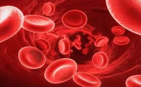 طرق طبيعية للوقاية من فقر الدم.. مشروبات وأطعمة لا غنى عنها