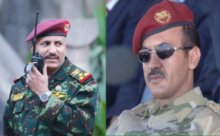 مسؤول في الحكومة الشرعية يعلق على عدم مناقشة العميد طارق صالح العقوبات المفروضة من مجلس الأمن