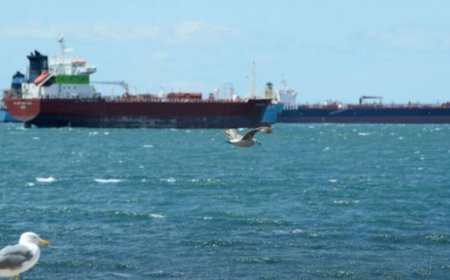 ناشطة حقوقية تكشف عن ادوار جديدة يريد الحو،ثي تنفيذها في البحر الاحمر