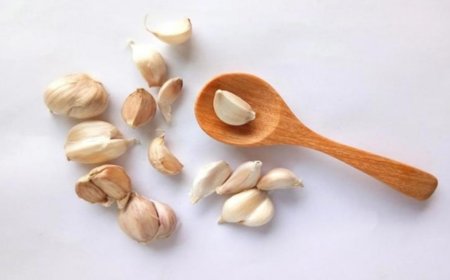 مفاجأة.. هذا يحدث للجسم عند تناول فص من الثوم على الريق