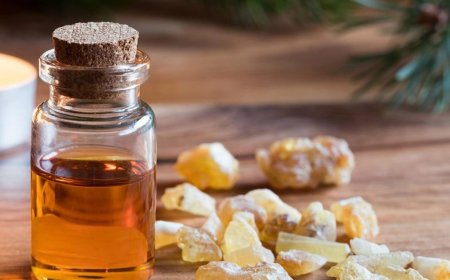 فوائد مهمة للبنان الدكر على البشرة تعرفي إليها