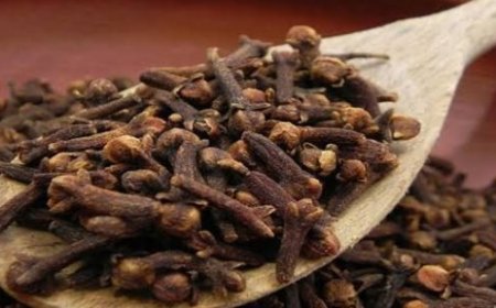 الفوائد التي يحصل عليها الجسم من القرنفل