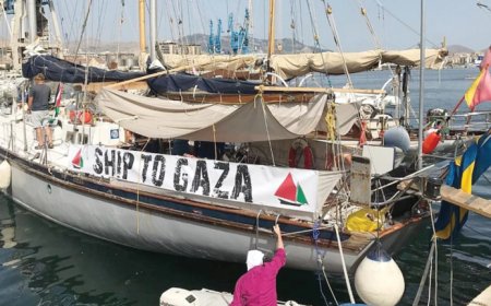 وسائل إعلام تركية: ألف قارب من 20 دولة تتوجه إلى سواحل غزة