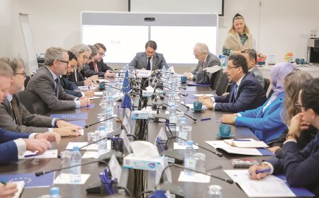 الاتحاد الأوروبي يجدد دعم جهود إحلال السلام في اليمن