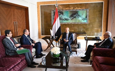 الرئيس العليمي يؤكد دعم اليمن الكامل للموقف المصري من القضية الفلسطينية