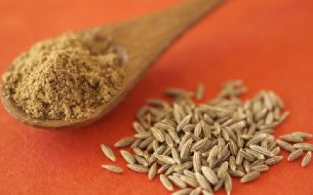 علاجك من الطبيعة.. فوائد  ماء الكمون