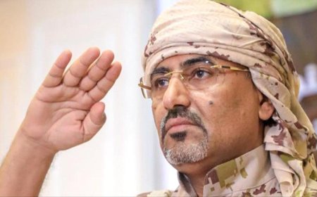 الزبيدي اللواء الثائر الذي أظهر القضية الجنوبية للأمم المتحدة