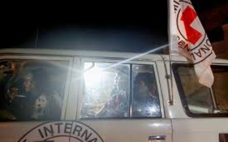 فيديو لإحدى الأسيرات الإسرائيليات المفرج عنهن تثير جدلاً.. كانت تلوح بيدها أثناء مغادرتها غزة