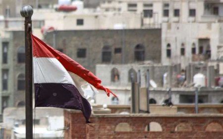 برلماني هولندي ينكر حقوق فلسطين.. والخارجية اليمنية ترد