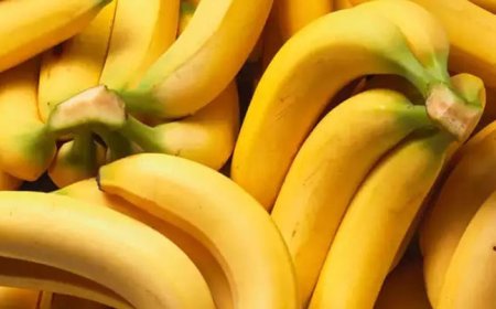 5 أطعمة إذا تناولتموها مع الموز تتحوّل إلى خطر حقيقي!