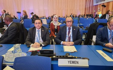 اليمن تشارك في مؤتمر منظمة التنمية الصناعية في فيينا