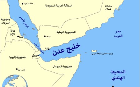 محلل سياسي: نخشى تطور الأحداث في خليج عدن وتضرر دول الخليج ومصر
