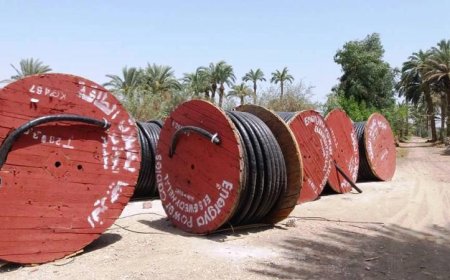 عصابة من الجنسية الصومالية تمتهن سرقة معدات غريبة وبيعها بمبالغ خيالية