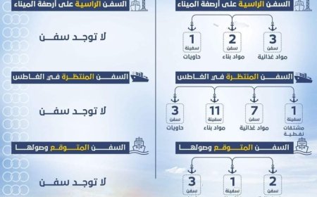 حركة السفن في الموانئ اليمنية خلال اليومين الماضيين .. مقارنة بين مينائي عدن والحديدة