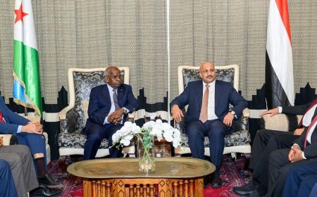 طارق صالح يخاطب (جيبوتي) بشأن تهريب الأسلحة للحوثيين.. وهكذا كان الرد