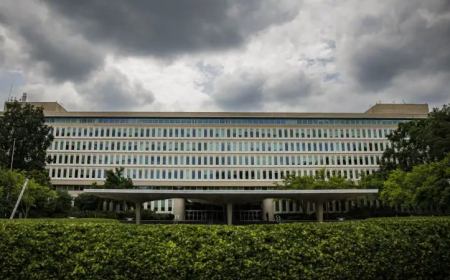 صورة مؤيدة لفلسطين تربك المخابرات الأمريكية.. ما الحكاية؟