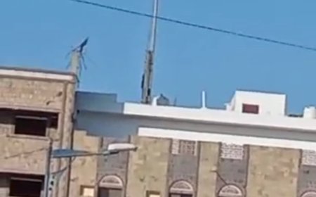 بالفيديو.. رفع علم الجمهورية اليمنية في ساحة شهداء الجنوب في المنصورة بعدن