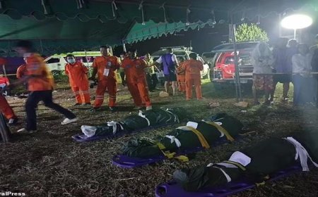 رجل يقتل عروسه وعائلتها  خلال حفل زفافهم…