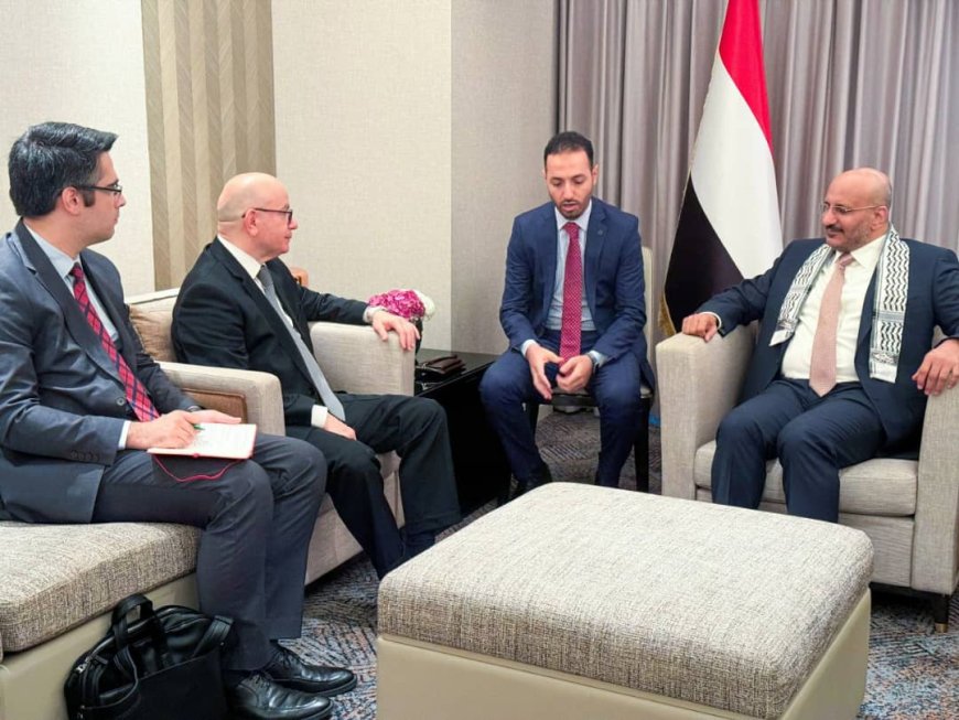 العميد طارق صالح يبحث مع السفير التركي الجهود المبذولة لإحلال السلام في اليمن