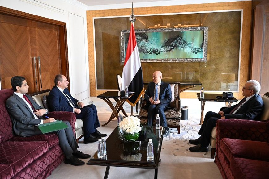 الرئيس العليمي يؤكد دعم اليمن الكامل للموقف المصري من القضية الفلسطينية