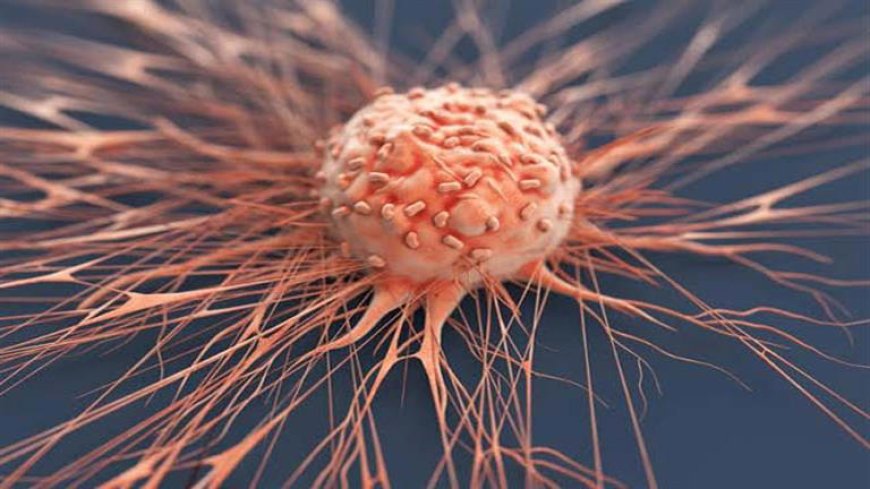 6 أشياء سحرية تقلل خطر الإصابة بجميع أنواع السرطان