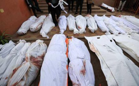 يعرف عدد الضحايا قبل القصف.. ما دور "غوسبيل" في حرب غزة؟