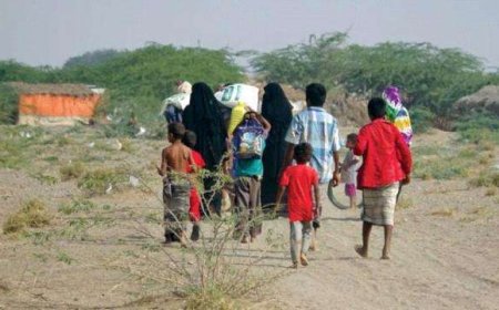 الهجرة الدولية تؤكد نزوح  10 ألف أسرة يمنية نزحت منذُ مطلع العام الجاري
