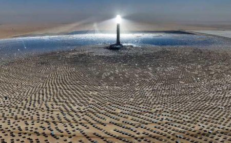 دبي تطلق أكبر مشروع طاقة شمسية في العالم بـ4 مليارات دولار