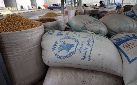 شبكة الاتحاد الدولي تحذر من اتساع فجوات تمويل المساعدات الإنسانية في اليمن