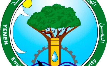 هيئة حماية البيئة تنفي توقيع اتفاق مع مجموعة هائل سعيد أنعم