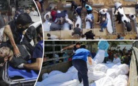 اغتالوا ستر أجساد الأموات.. إسر.ائيل تنزع جلود الشهداء الفلسطينيين