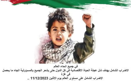 دعوات لشن اضراب على مستوى عالمي تضامنا مع غزة