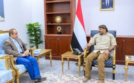 نائب رئيس مجلس القيادة الرئاسي طارق صالح يستقبل وزير التعليم العالي