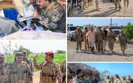 العميد طارق صالح يتفقد جاهزية وانضباط محور الحديدة ويشيد بهما