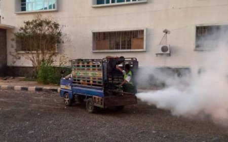 صحة البيئة بصيرة يستأنف حملات الرش الضبابي لمكافحة الحشرات الناقلة للأمراض والأوبئة