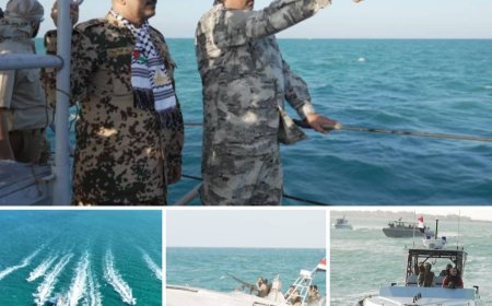 طارق صالح يشهد عرضاً لتشكيلات بحرية من خفر السواحل واللواء الأول مشاة بحري بالمخا