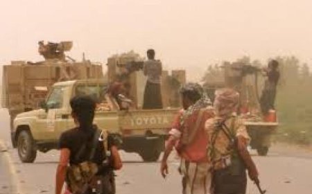 إنها رمز الصمود ومنبع الشجعان.. تعزيزات حوثية ضخمة للهجوم على محافظة الضالع  