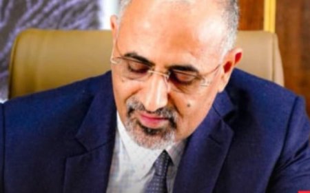 وزير في حكومة معين يدعو الرئاسي لتسليم مقاليد الأمور لـ(عيدروس الزبيدي) معددا الاسباب!