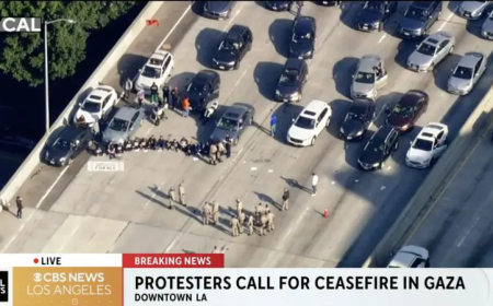 بالفيديو.. نشطاء يهود يتضامنون مع غزة في الطريق العام بالولايات المتحدة الأمريكية