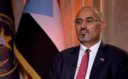 عاجل... عيدروس الزبيدي يصدر قرارات تعيين بالجملة.. قرابة 700 شخص من الانتقالي في هذه المناصب (الأسماء)