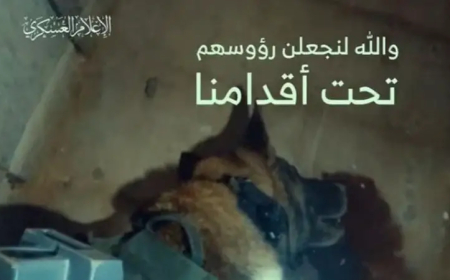 بالفيديو : كلمة مسجلة لأبو عبيدة .. و هجمات للقسام